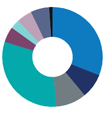 Investor Profile Graph BY SECTOR NB2