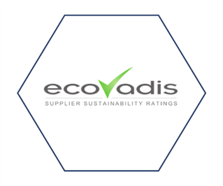 Ecovadis sas чем занимается