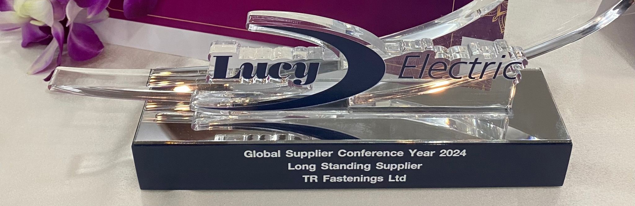 Lucy Electric Award