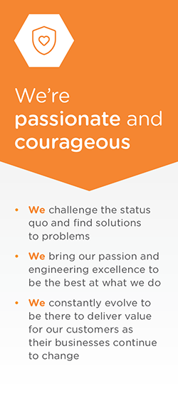 Our Values Passionate