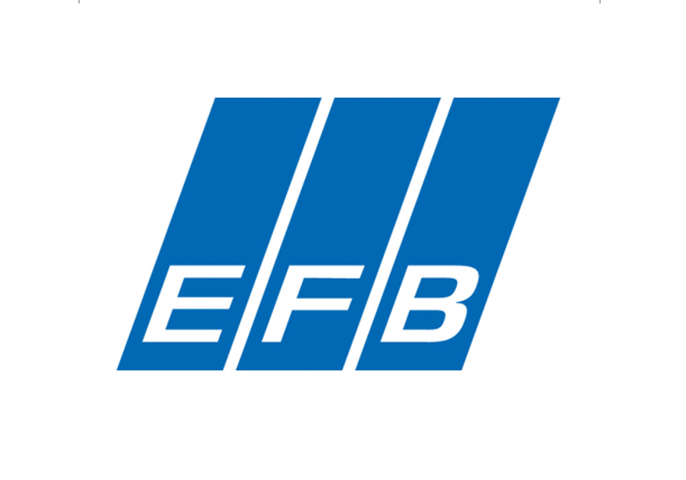 Europäische Forschungs¬gesellschaft für Blechverarbeitung e.V logo 